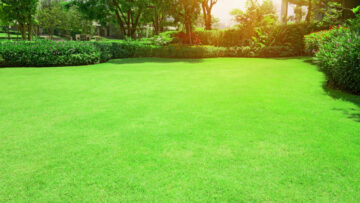 Transform Your Outdoor Paradise with Debordieu Colony Lawn Services from Antley Landscape & Design in Georgetown, SC
