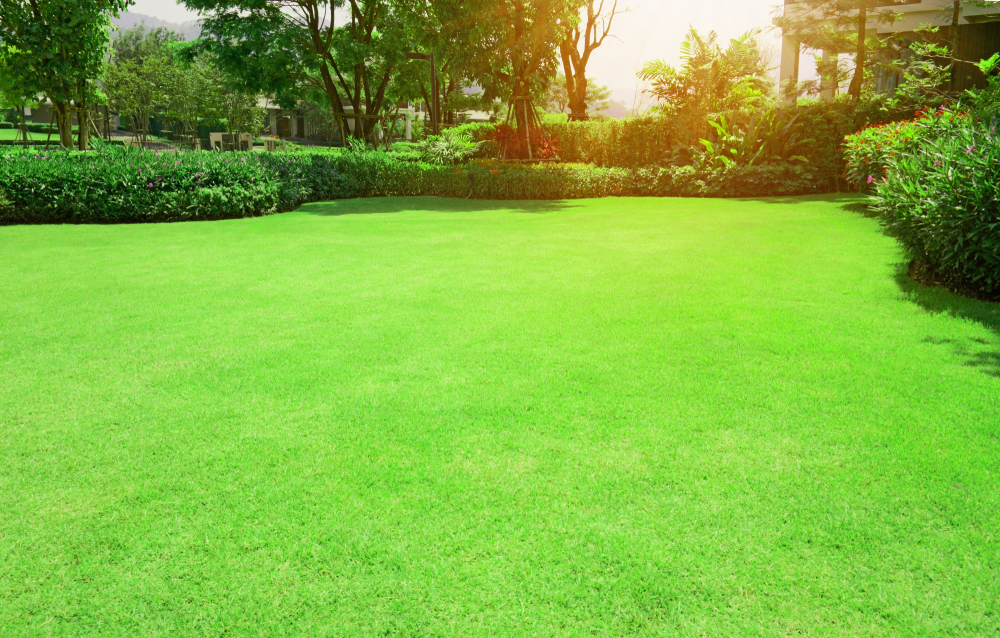 The grass is always greener on your side
of the fence in Myrtle Beach with our lawncare services